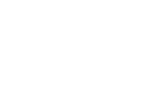 ICE Cubes Logo Horizontal White Transparent