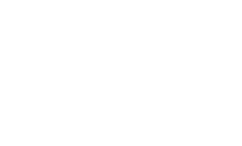 SaS